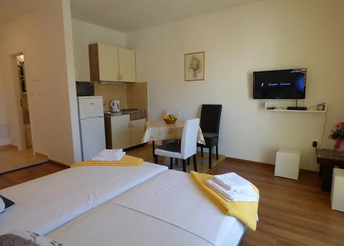 Pensionat Studio Buki 4*